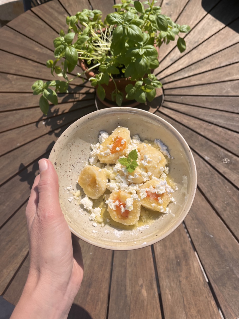 Hausgemachte Obstknödel auf der Terrasse